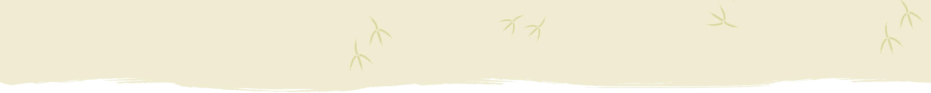 Banner vogel